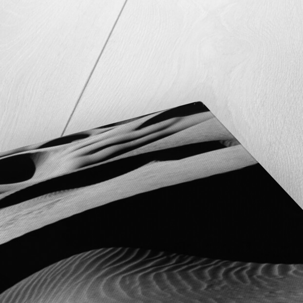 Dune Landscape by Anonymous