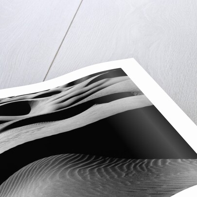 Dune Landscape by Anonymous