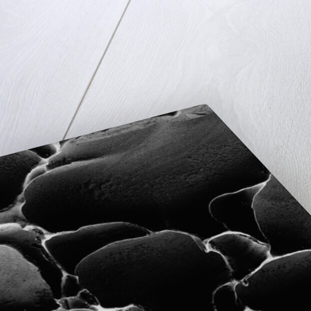 Rounded Rocks by Anonymous