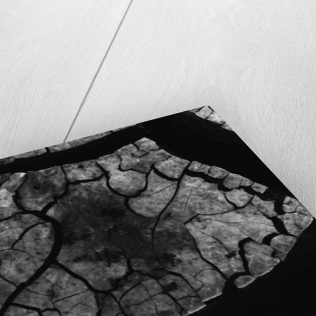 Cracked Mud by Anonymous