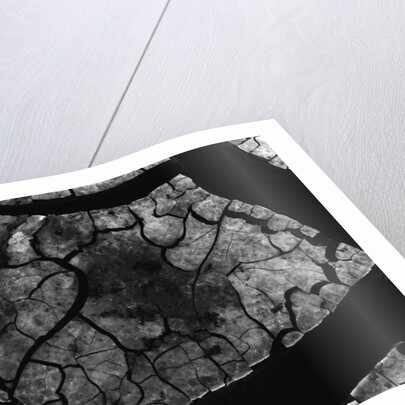 Cracked Mud by Anonymous