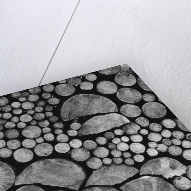 Lumber by Anonymous