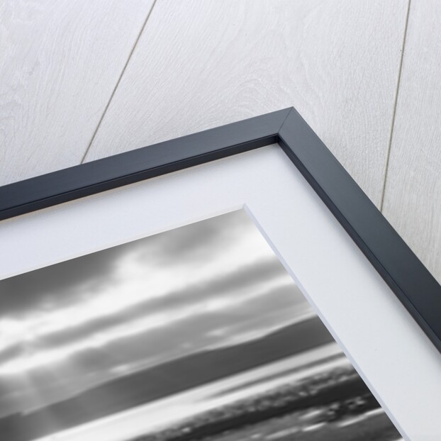 Tomales Bay, 1955 by Anonymous