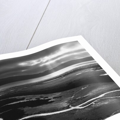 Tomales Bay, 1955 by Anonymous