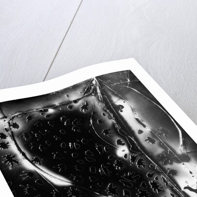 Glass Abstraction by Anonymous