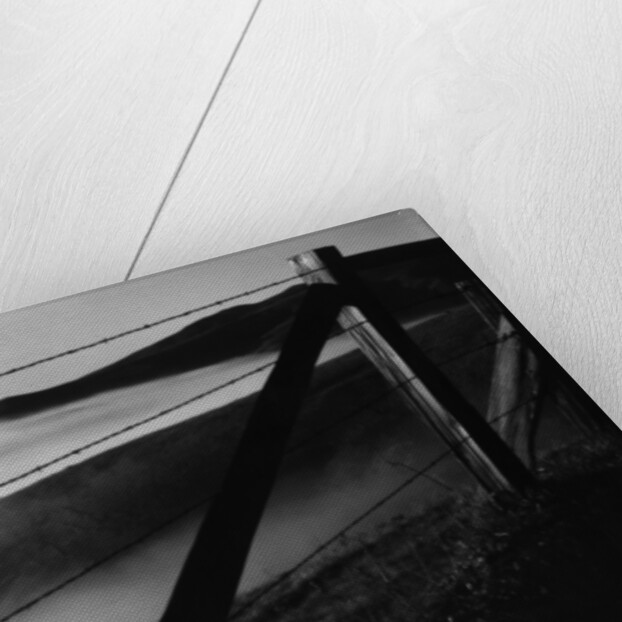 Fence and Hills, Big Sur, 1962 by Anonymous