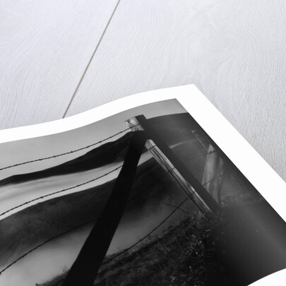 Fence and Hills, Big Sur, 1962 by Anonymous