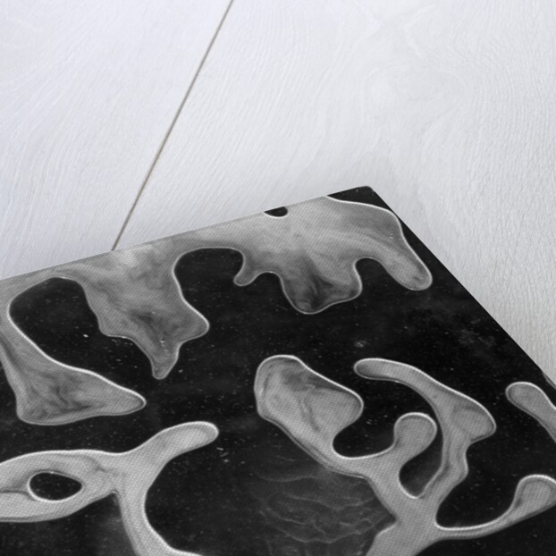 Liquid Abstraction, California, 1956 by Anonymous