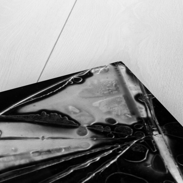 Glass Abstraction, California, 1954 by Anonymous