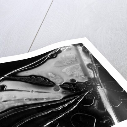 Glass Abstraction, California, 1954 by Anonymous