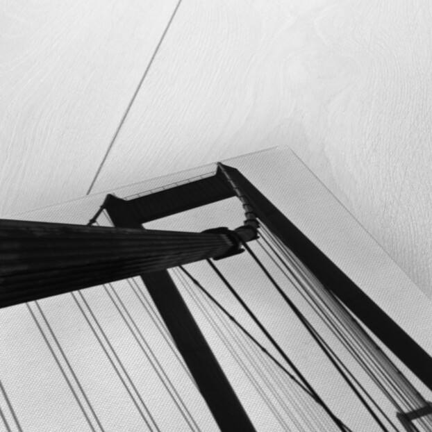 Suspension Bridge, California by Brett Weston