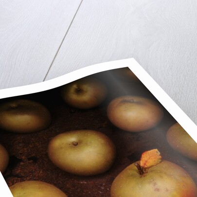 Apple With Leaf by Anonymous