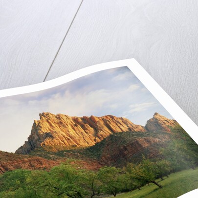 Orchard at the Base of a Rock Formation by Anonymous