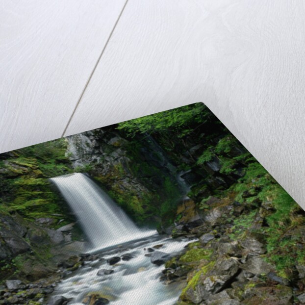 Christine Falls by Anonymous
