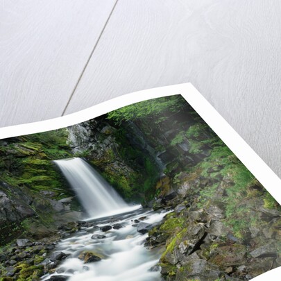 Christine Falls by Anonymous