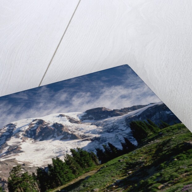 Mt.Rainier by Anonymous