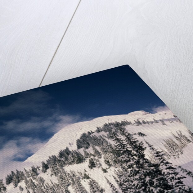 Mount Rainier by Anonymous