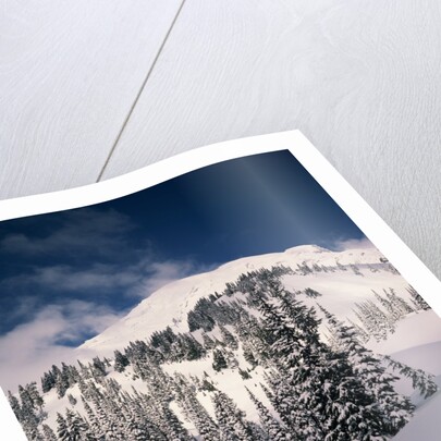 Mount Rainier by Anonymous