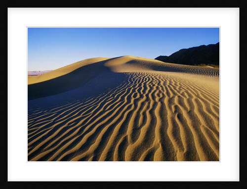 Sand Dunes in Death Valley by Anonymous