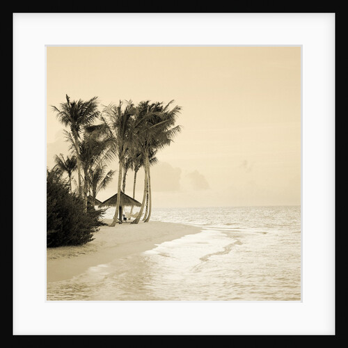 Tropical beach by Anonymous