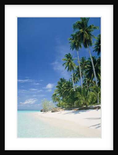 Beach with palms and clear sea, Malaysia, Mabul Island by Anonymous