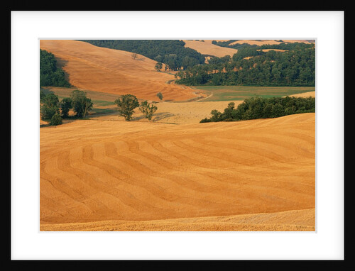 Italy, Tuscany, Crete Senesi by Anonymous