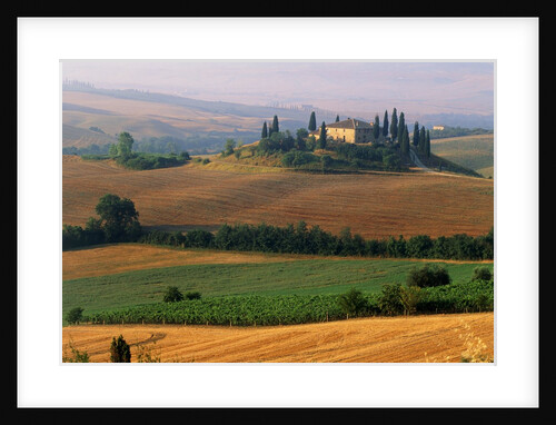 Italy, Tuscany, Val d'Orcia, fields at sunrise by Anonymous
