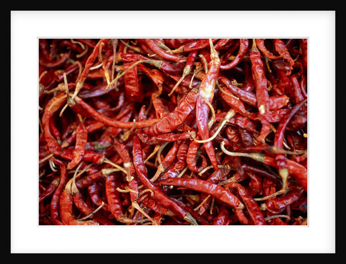 Red chili peppers (Ocotlan market, Oaxaca, Mexico) by Anonymous