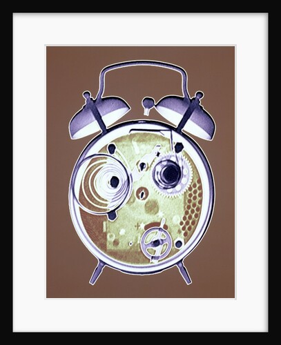 Cross-section of Alarm Clock by Anonymous