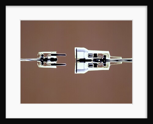 Cross-section of Electrical Plug by Anonymous