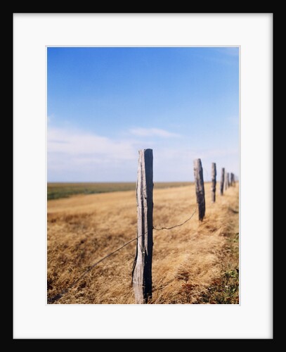 Wooden fence on meadow, St Peter-Ording, Germany by Anonymous