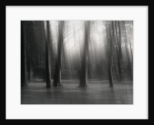 Untitled by Clare Marie Barboza
