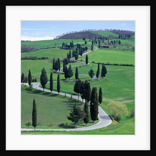 Country road, Tuscany, Italy (near Pienza) by Anonymous
