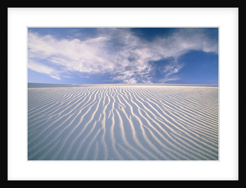 White Sands National Monument by Anonymous