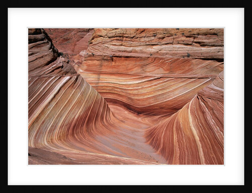 Rock, Paria Canyon, Utah, USA by Anonymous