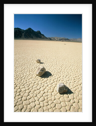 Dried clay, Death Valley, Nevada, USA by Anonymous