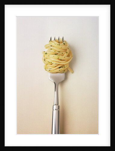 Fork with spaghetti by Anonymous