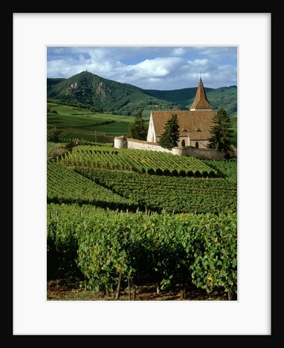 Agricultural scene, Hunawihr, Alsace-Lorraine, France by Anonymous