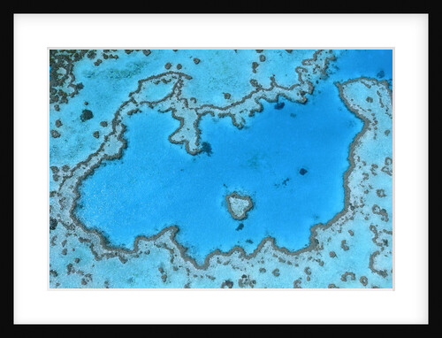Aerial View of Great Barrier Reef by Anonymous