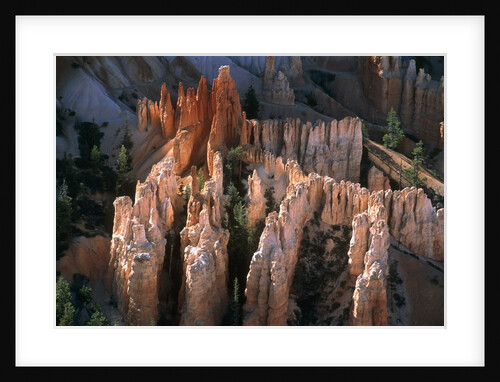USA, Utah, Bryce Canyon by Anonymous