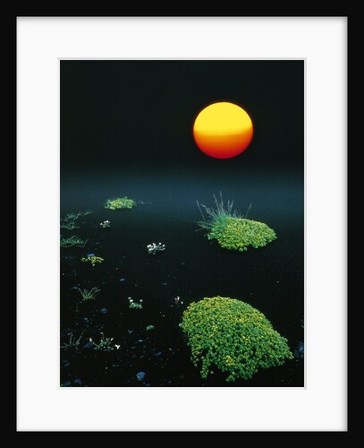 Sun over black lava, Iceland by Anonymous