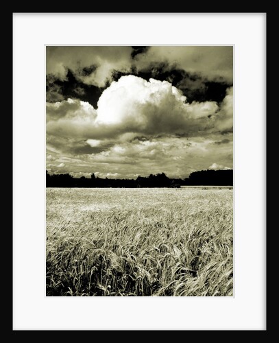 Field Under Cloudy Sky by Anonymous