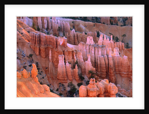 USA, Utah, Bryce Canyon by Anonymous