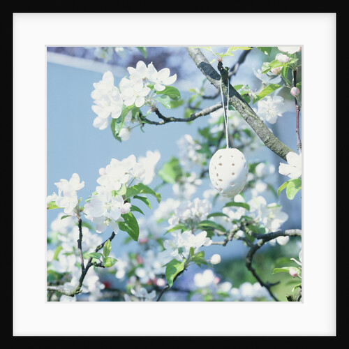 Easter Egg on Flowering Branch by Anonymous