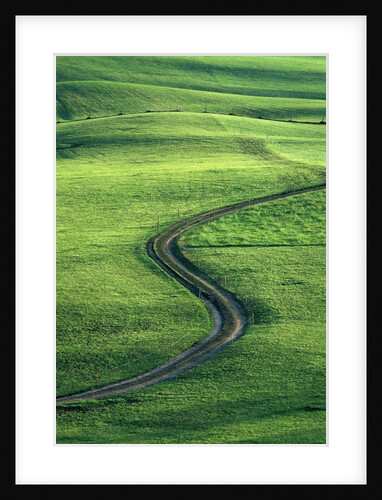 Country lane winding through meadow in the Allgaeu Alps by Anonymous