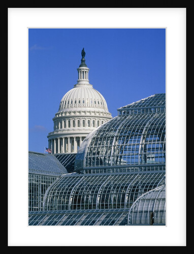 United States Botanic Garden Conservatory and Capitol, Washington DC, USA by Anonymous