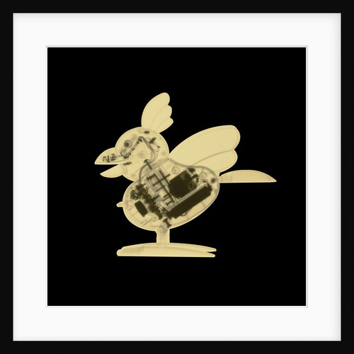 X-Ray of Toy Rooster by Anonymous