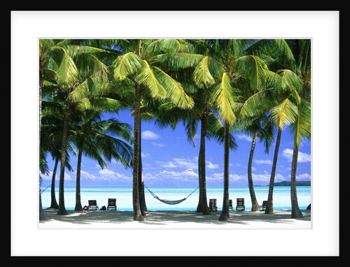 Aitutaki, Cook Islands, New Zealand by Anonymous