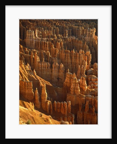 USA, Utah, Bryce Canyon by Anonymous