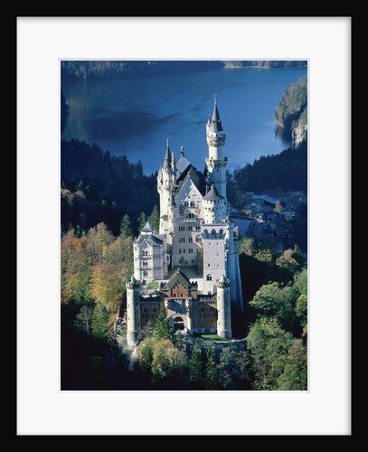 Neuschwanstein castle in autumn, Bavaria by Anonymous